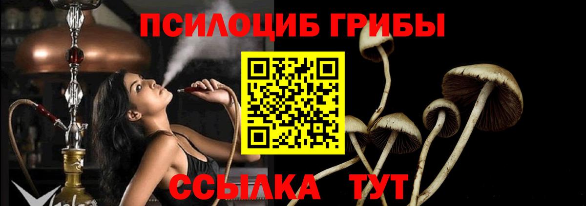 Галлюциногенные грибы ЛСД  Вход с VPN  Волгоград 